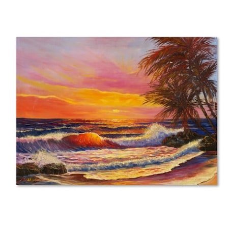 Manor Shadian 'Hawaiian Glow' Canvas Art,24x32